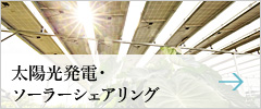 太陽光発電・ソーラーシェアリング